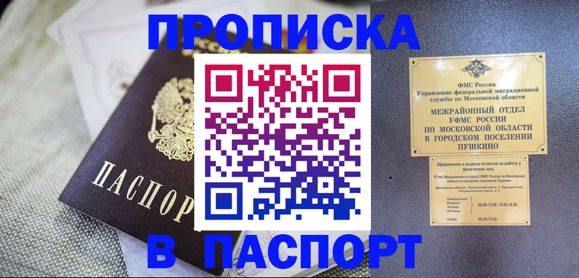 прописка поиск в Почепе